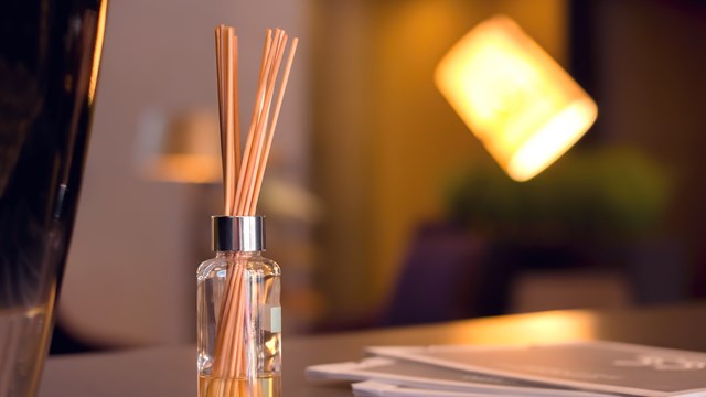 Snow, Salt, & Scent Design