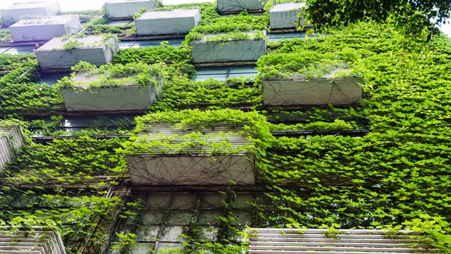 Smart Multifamily Landscaping