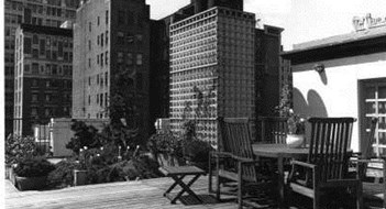 Your Roof-Lounge or My Library? Your Roof-Lounge or My Library?