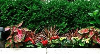 Keeping Your Curb Appeal Keeping Your Curb Appeal