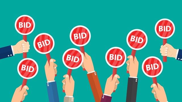 The Bidding Process