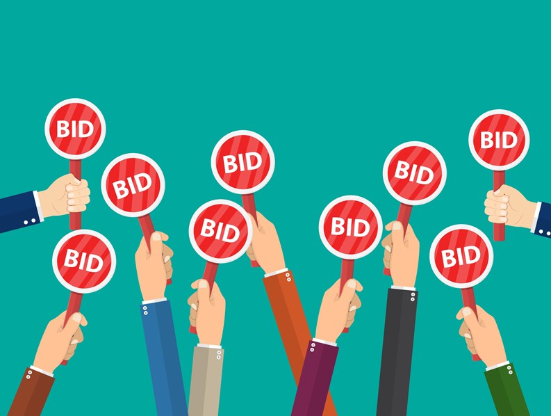 The Bidding Process