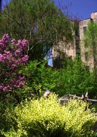 Beautifying with Rooftop and Community Gardens