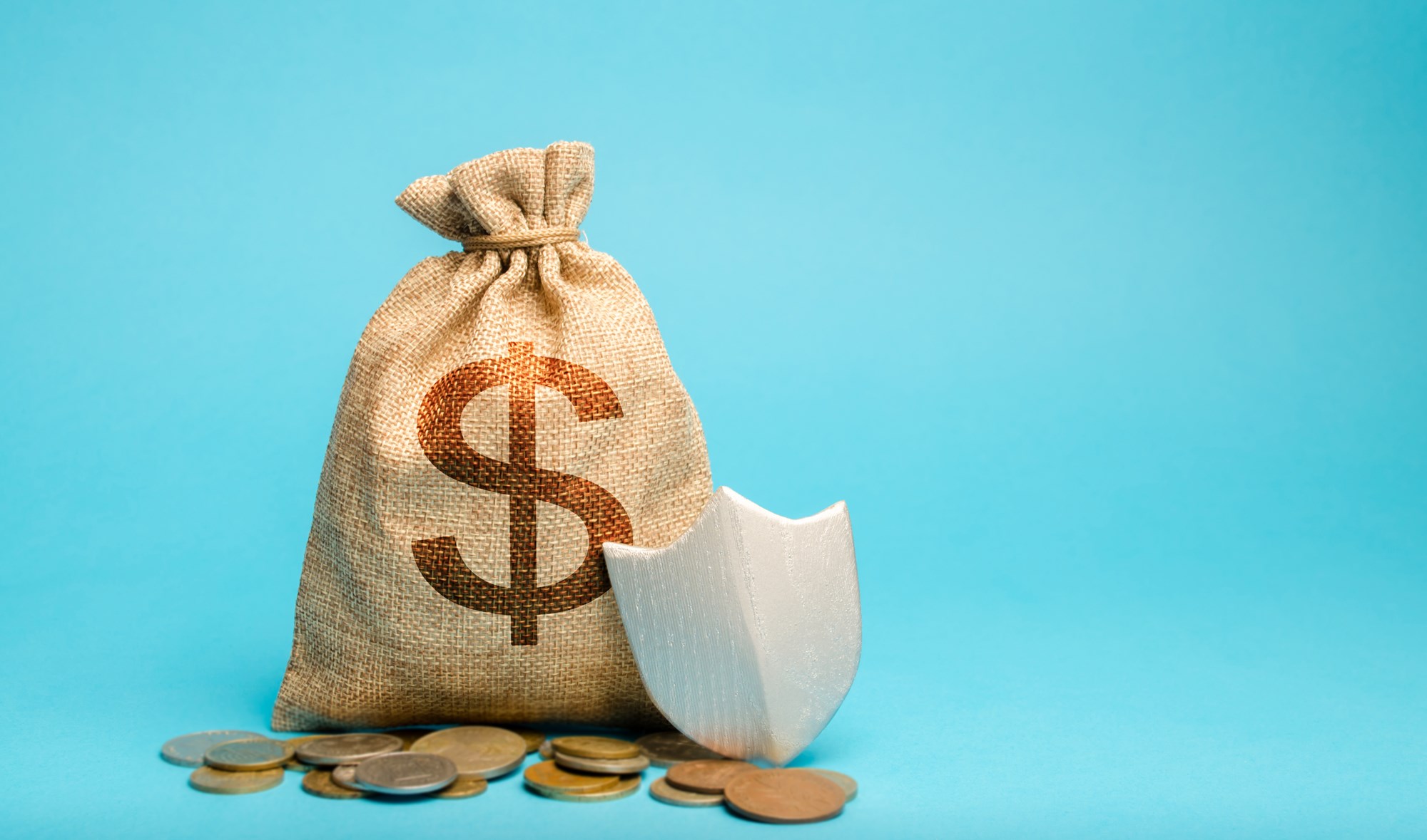 Bag with dollar symbol and protection shield. Concept security of money, guaranteed deposits. Client rights protection. Compensation for losses in inflation, safeguarded investment capital.