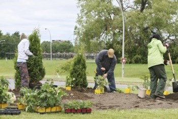 The New York City Tree Trust