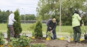 The New York City Tree Trust The New York City Tree Trust