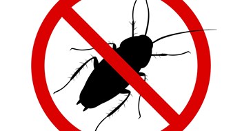 20% Of NY Metro Households Have Pest Problems Anti-cockroach icon, pest control, destruction of parasites, stop insect , black contour, isolated, white background