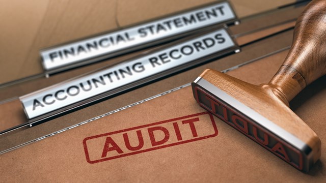 Rubber stamp over two folders with the text financial statements, accounting records and the word audit. Concept of financial auditing. 3D illustration.
