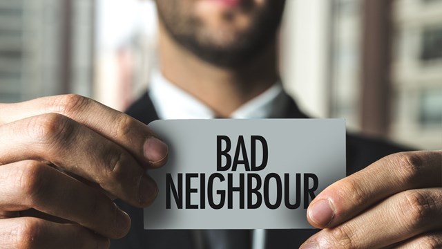 Bad Neighbour