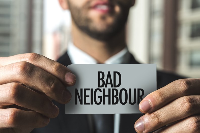 Bad Neighbour