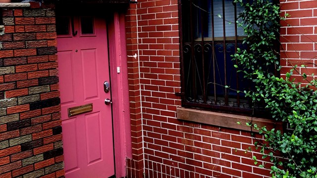 The entrance to a Hoboken, New Jersey basement apartment features a pink door flanked by red and brown brick walls and green vines.