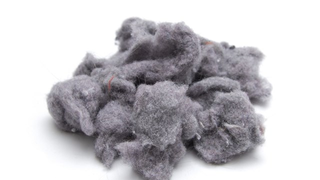 Laundry lint from the dryer on white