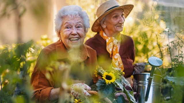 Portrait of senior friends taking care of vegetable plants in urban garden in the city. Pensioners spending time together gardening in community garden in their apartment complex. Nursing home residents gardening outdoors. Senior sisters have same hobby.