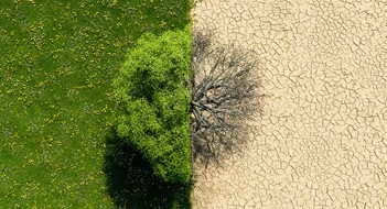 How Climate Change Affects Landscaping drone view of a green landscape with half in drought. concept of climate change, environment and global warming. 3d rendering