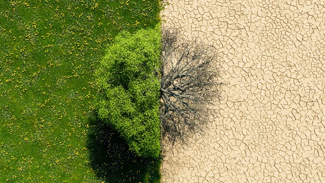 drone view of a green landscape with half in drought. concept of climate change, environment and global warming. 3d rendering