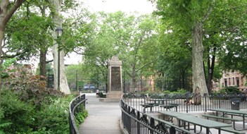 A Tree-Lined Oasis A Tree-Lined Oasis