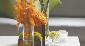 Stretching Your Dollars Stretching Your Dollars