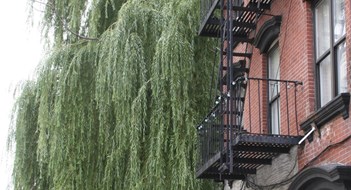 A Look at Manhattan's East Village A Look at Manhattan's East Village