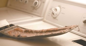 Give it Up for Lint Give it Up for Lint