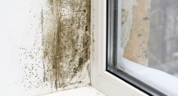 Insuring for Household Hazards Insuring for Household Hazards
