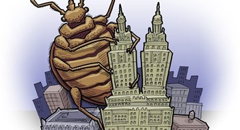 Invasion of the Night Crawlers Invasion of the Night Crawlers