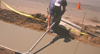 The Concrete Jungle The Concrete Jungle