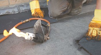 Don't Forget to Look Up Don't Forget to Look Up