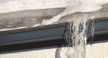 Winter Woes Winter Woes