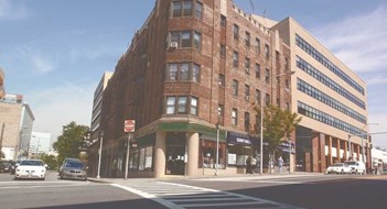 White Plains White Plains