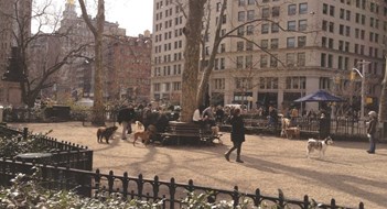 Catering to Man's Best Friend Catering to Man's Best Friend