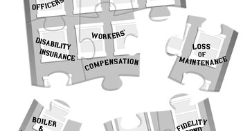 The Insurance Puzzle The Insurance Puzzle