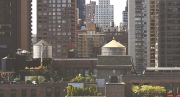 The Grand Design The Grand Design