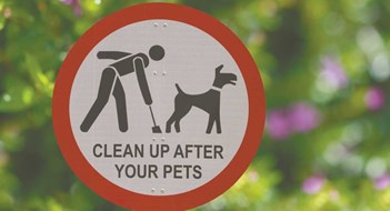 The Artful Dodger The Artful Dodger