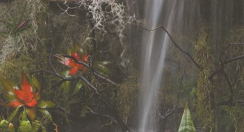 Splish Splash Splish Splash