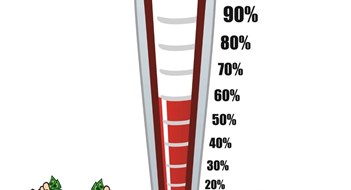 A Capital Idea A Capital Idea