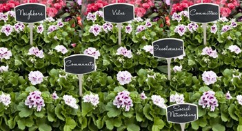 Howdy, Neighbor Howdy, Neighbor