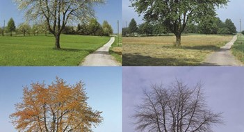 Spring is Just Around the Corner Spring is Just Around the Corner