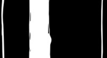Avoiding Legal Blunders Avoiding Legal Blunders