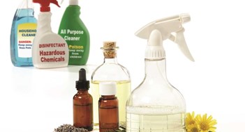 Squeaky Clean Squeaky Clean