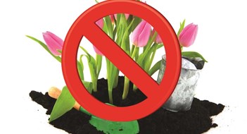 You Can’t Plant that here! You Can’t Plant that here!