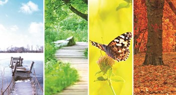 Seasonal Landscape Maintenance Seasonal Landscape Maintenance