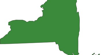The Green Movement The Green Movement
