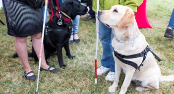 Fraudulent Service Animals Fraudulent Service Animals