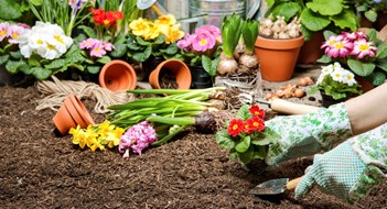 Flowers Forever Flowers Forever