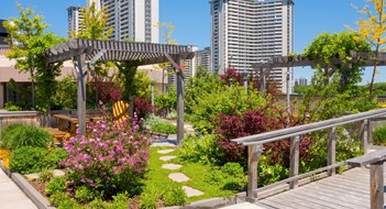 Green Roofs: A Primer Green Roofs: A Primer