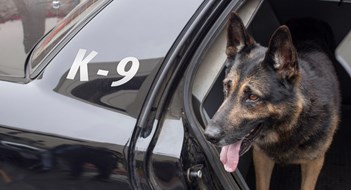 Do Police Need A Warrant to Search Your Unit? Do Police Need A Warrant to Search Your Unit?