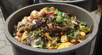 Inside NYC's Organic Waste Collection Program Inside NYC's Organic Waste Collection Program