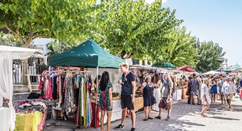 Legal & Liability Issues for Programs & Activities Legal & Liability Issues for Programs & Activities