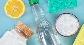 Cleanliness Is... Greenliness? Cleanliness Is... Greenliness?