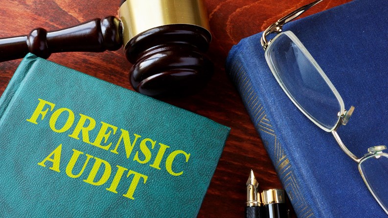 Forensic Audits